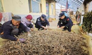 入户走访“唠”反诈 守好群众“钱袋子”