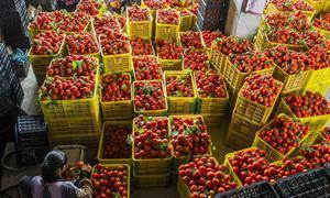 广西农村集体三资监管激活乡村振兴新动能