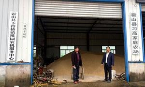 安徽霍山农商银行首笔“金农政保贷”落地   