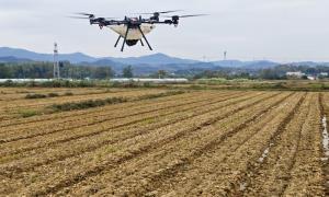 浮山街道白鹤村：科技赋能农耕 开启智慧农业新图景