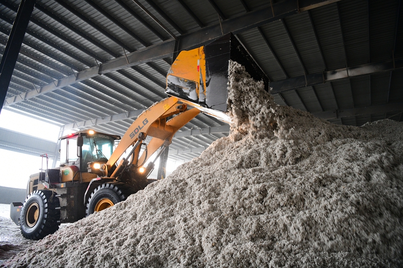 在新疆五家渠泰昆植物蛋白有限责任公司棉籽精深加工区,工人正将成堆的棉籽原料输送到生产线上。张静 摄.jpg 在新疆五家渠泰昆植物蛋白有限责任公司棉籽精深加工区,工人正将成堆的棉籽原料输送到生产线上。张静 摄.jpg