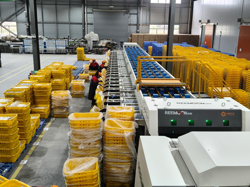 图12融安县搭建了现代化数字产地仓,实现分拣、打包、物流全程标准化、自动化.jpg 图12融安县搭建了现代化数字产地仓,实现分拣、打包、物流全程标准化、自动化.jpg