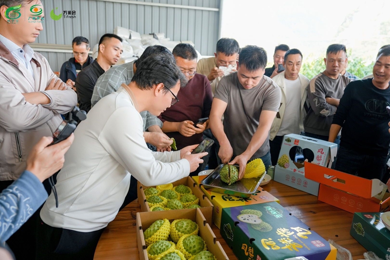 采购商品尝释迦果.jpg 采购商品尝释迦果.jpg