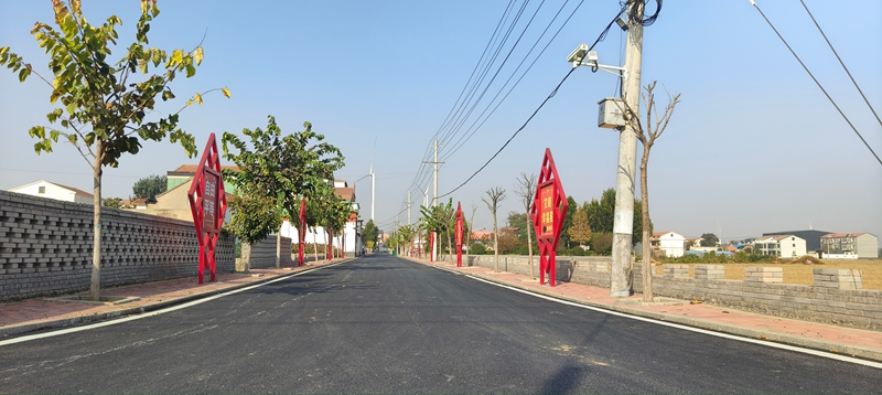 樊相镇大张庄村干净宽阔的柏油路.jpg
