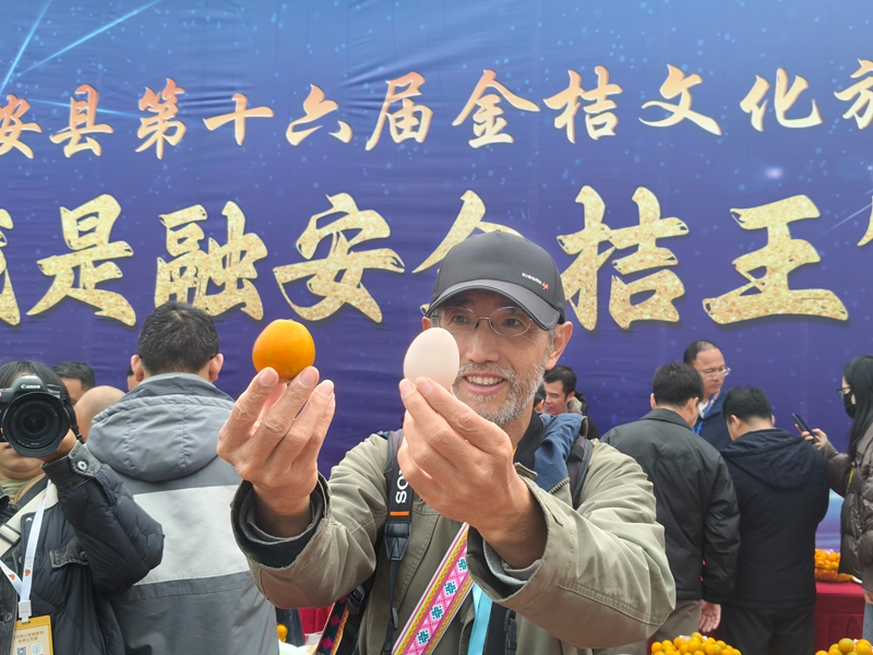 图3 一名嘉宾手里拿的金桔和鸡蛋差不多大.jpg 图3 一名嘉宾手里拿的金桔和鸡蛋差不多大.jpg