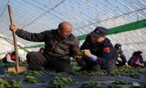 寒冬“警”色暖民心，深入田间助力冬季生产