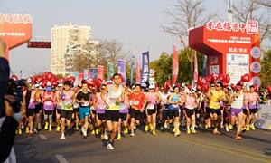 激活寿乡发展动能 泉港书写高质量发展新篇章