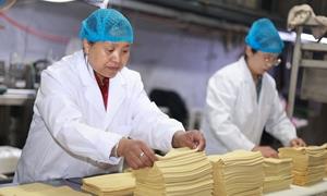 怀安县:彩票公益金项目撬动豆腐皮产业提档升级