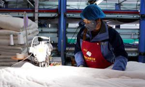 新湖农场:一朵棉“链”就满盘金