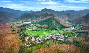 洪水村:十六间茅草屋“重生” 黎族古村落的活态传承之路