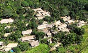 初保村:从茅草屋到新民居 守护“黎家第一村”