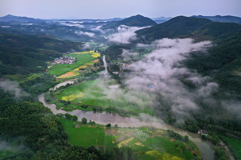 北湖区西河梨园（李文 摄）.jpg