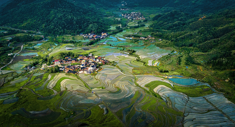 月峰乡如画梯田（李文 摄）.jpg