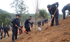 春染边关生态绿 警民共筑生态屏