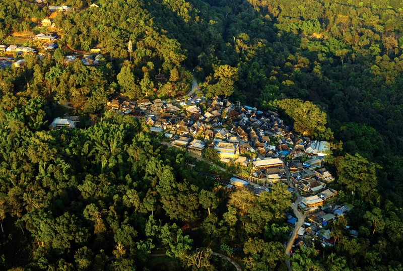 普洱市澜沧县惠民镇芒景村航拍图.jpg