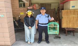“萌猴”误闯民宅 警民联手施救