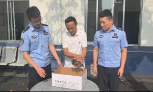从群众手心到民警掌心！受伤“萌鸮”暖心接力