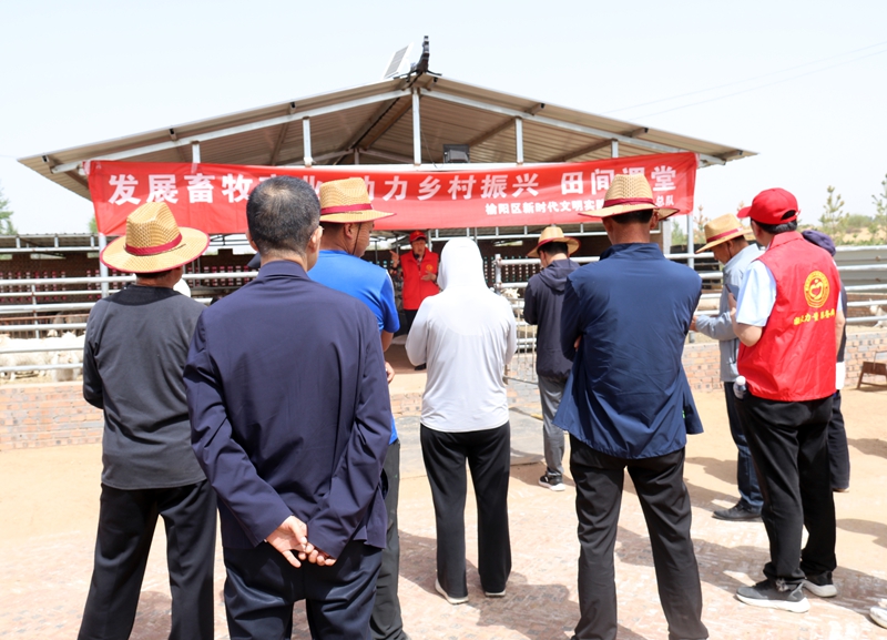 陕西省榆林市田间课堂助力乡村振兴--郭姝 摄.jpg 陕西省榆林市田间课堂助力乡村振兴--郭姝 摄.jpg