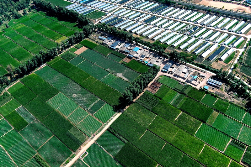 陕西省榆林市绥德县“塞外小江南”鱼河堡新貌+陈丽媛 摄.jpg 陕西省榆林市绥德县“塞外小江南”鱼河堡新貌+陈丽媛 摄.jpg