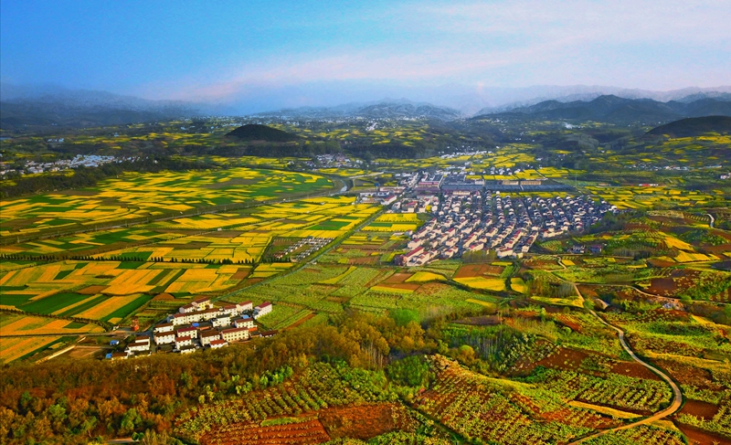 陕西省汉中市洋县城北朱鹮生态园-邓军 摄.jpg 陕西省汉中市洋县城北朱鹮生态园-邓军 摄.jpg