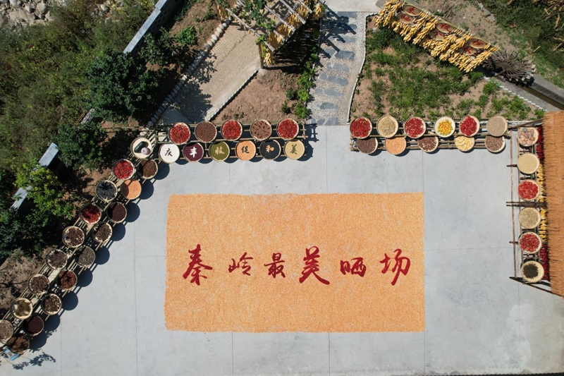 陕西省汉中市留坝县市级“千万工程”示范村——梭椤村“晒秋”-张中奇 摄.jpg 陕西省汉中市留坝县市级“千万工程”示范村——梭椤村“晒秋”-张中奇 摄.jpg