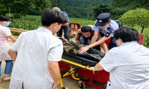 突发落石险情，科甲边境派出所民警争分夺秒抢救伤员化险为夷