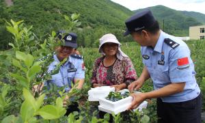 “好丰警”锁定“莓”好时光