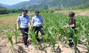 边境普法宣传“进田间”