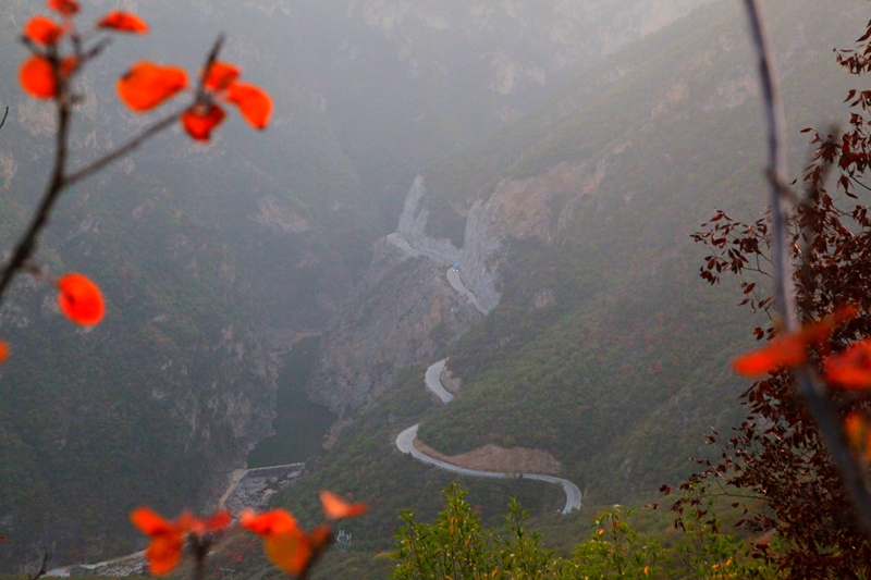 郑国红渠叶映山路+张向龙.jpg