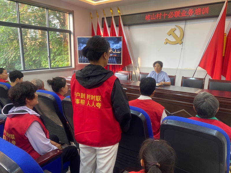 江苏省徐州市贾汪区紫庄镇岐山村”十必联“志愿者业务培训会.jpg 江苏省徐州市贾汪区紫庄镇岐山村”十必联“志愿者业务培训会.jpg