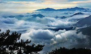 文旅融合新样本：九宫山“风景+美食”双引擎引爆旅游热