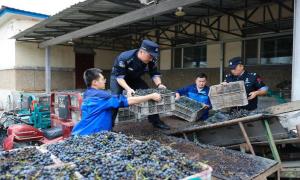 北纬41°的丰收答卷！“360警务”点亮边民幸福生活