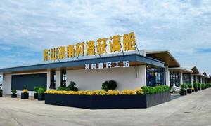 以电商之力 探寻乡村振兴新路径