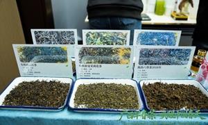 2026早春茶大会暨广西茶叶产销对接活动在南宁举办