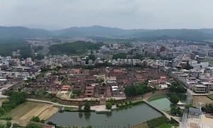 实干绘就畲乡美 头雁领航启新程