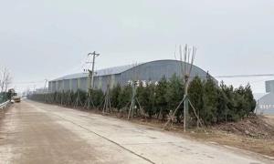 绿廊镶珠 景秀湾寨——河南省汝阳县内埠镇大蔡路沿线美丽乡村蝶变记