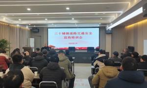 六安交警进村入户开展“迎新春、送安全、保畅通”主题宣传活动