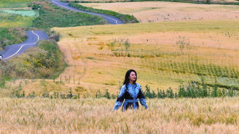 游客在麦浪打卡照片 拍摄 叶尔那·胡麻尔.jpg