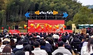 走进“中国古桂第一村”文学采风笔会在安徽南陵县家发镇顺利举行