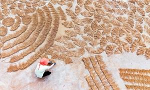 湖北恩施:一碗板党鸡汤 满屋桑梓深情