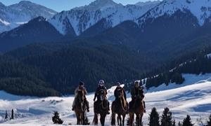 从“天下粮仓”到“诗和远方” 奇台农场的文旅融合新答卷