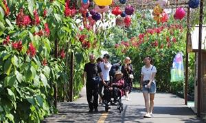 南海之滨春潮涌 琼州古邑年味浓