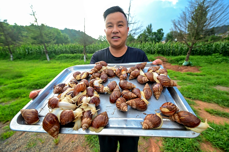 旧县白玉蜗牛 (3) 赵明辰摄.jpg