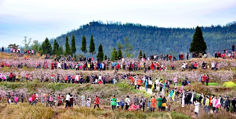 仪陇县马鞍镇险岩村桃花节.jpg