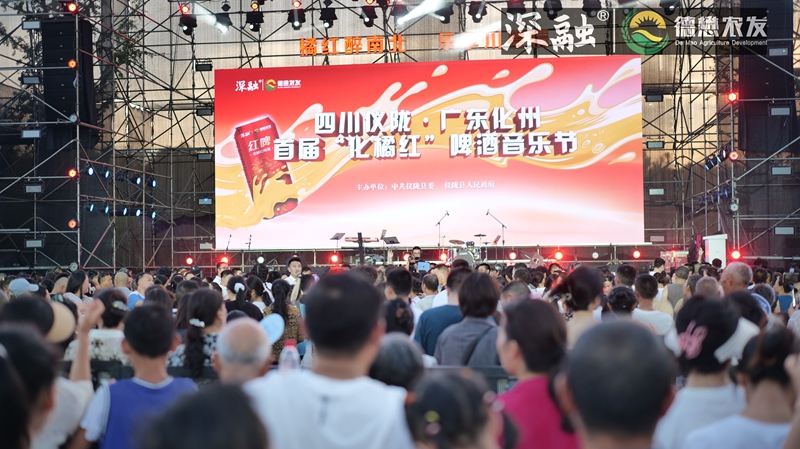 啤酒音乐节 (3).jpg