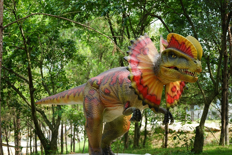 四川省南充市仪陇县天石寨景区 (2).jpg