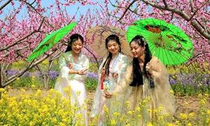 以花为媒促发展：西华县第二十二届桃花赏游季开幕