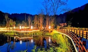 仪陇商业模式与营收闭环:从流量爆红到长效变现