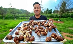 旧县镇：村容产业乡风作风齐焕新