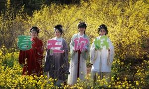 何村镇：“甜蜜姜岭”的幸福答卷